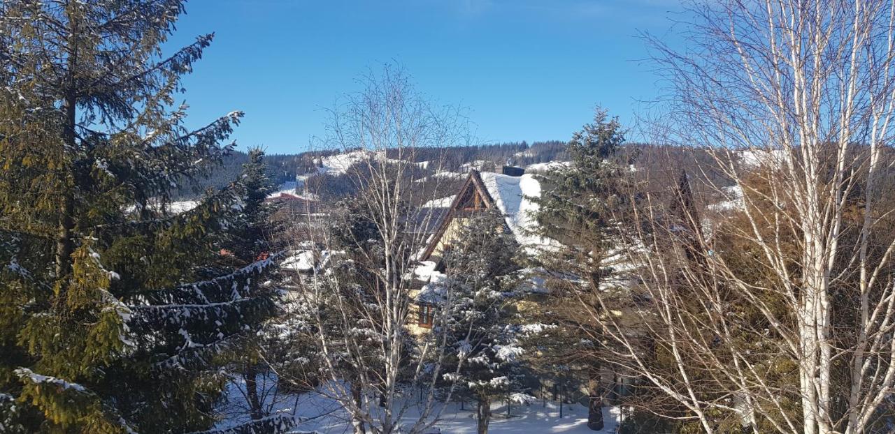 Local 21A Villa Zakopane Dış mekan fotoğraf